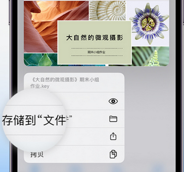 札达apple维修中心分享iPhone文件应用中存储和找到下载文件