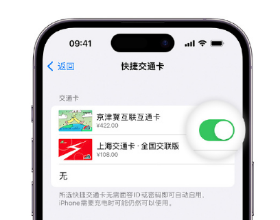 札达apple维修点分享iPhone上更换Apple Pay快捷交通卡手绘卡面 