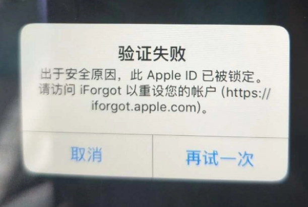 札达iPhone维修分享iPhone上正常登录或使用AppleID怎么办 