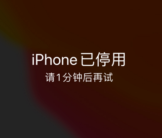 札达苹果手机维修分享:iPhone 显示“不可用”或“已停用”怎么办？还能保留数据吗？ 