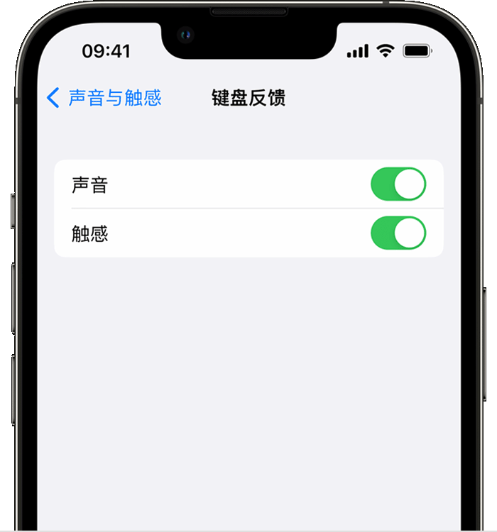 札达苹果14维修店分享如何在 iPhone 14 机型中使用触感键盘 