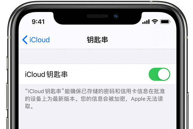 札达苹果手机维修分享在 iPhone 上开启 iCloud 钥匙串之后会储存哪些信息 