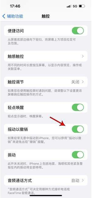 札达苹果手机维修分享iPhone手机如何设置摇一摇删除文字 